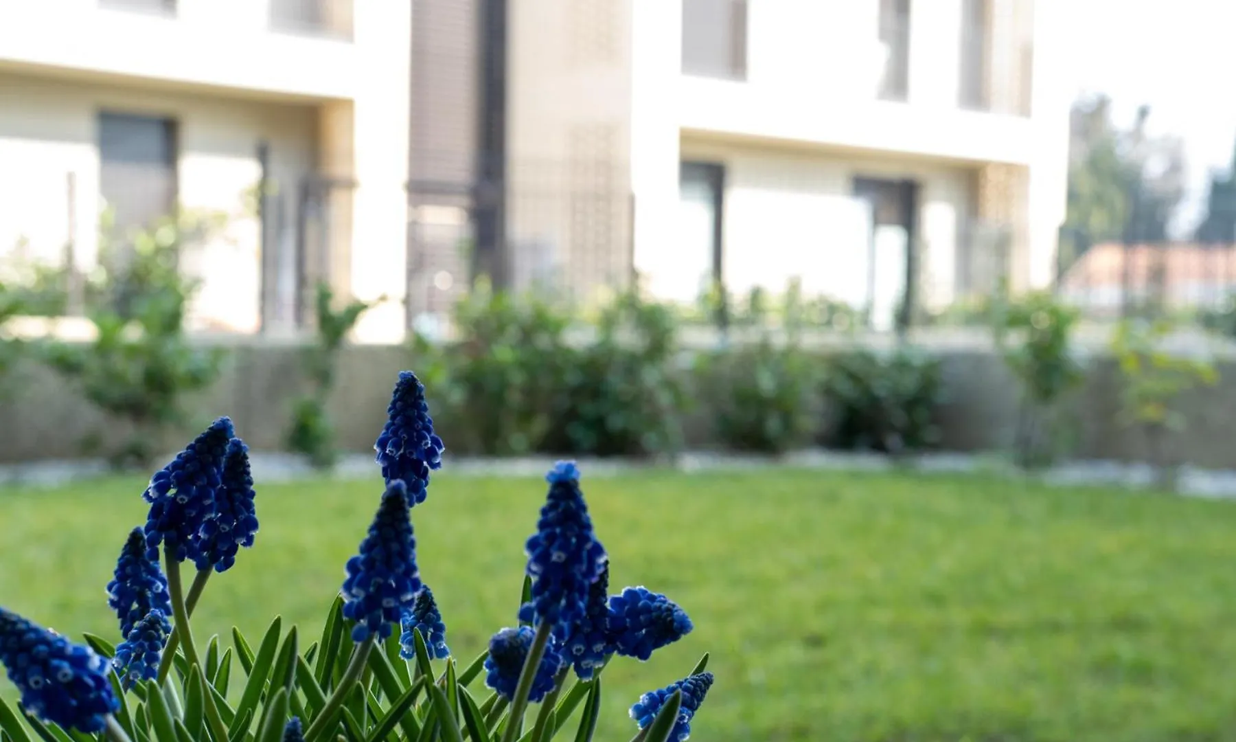 Residence Borgo Secolo بسكييرا ديل غاردا